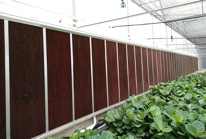Turnkey Cooling Control & Water System